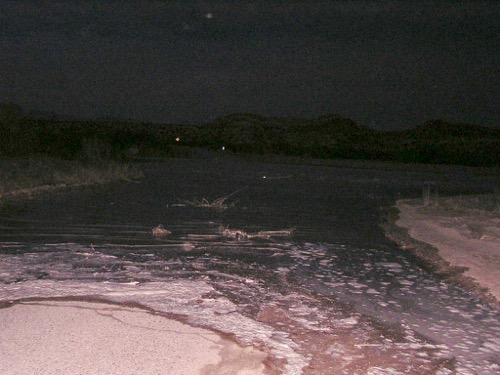 Flash Flood